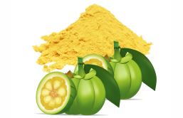 Garcinia Cambogia Extract